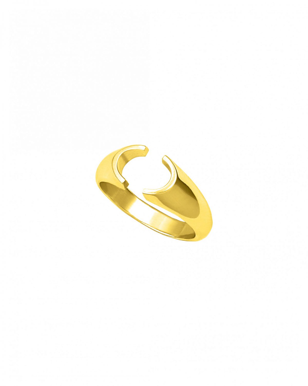 Anti Signet Ring