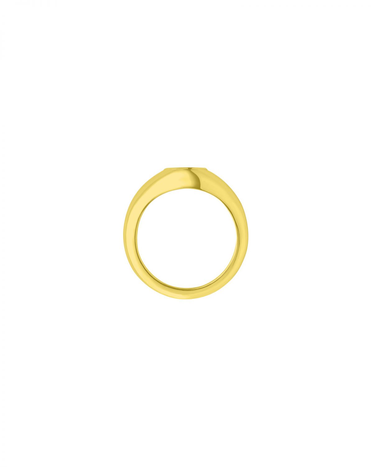 Two-Tone Nate Signet Ring (Gold Ring)