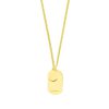 Tagged ID Necklace (Personalize)