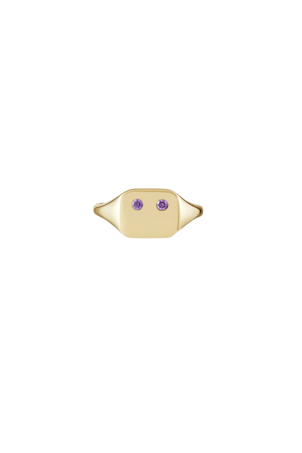 Emi Signet Ring, Amethyst