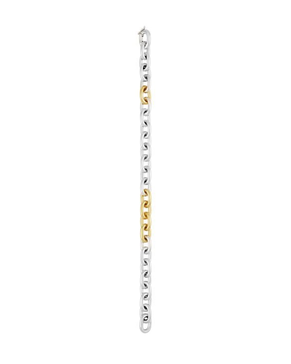 Benja Seamless Link Bracelet