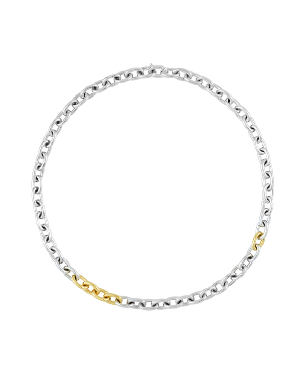 Benja Seamless Link Necklace
